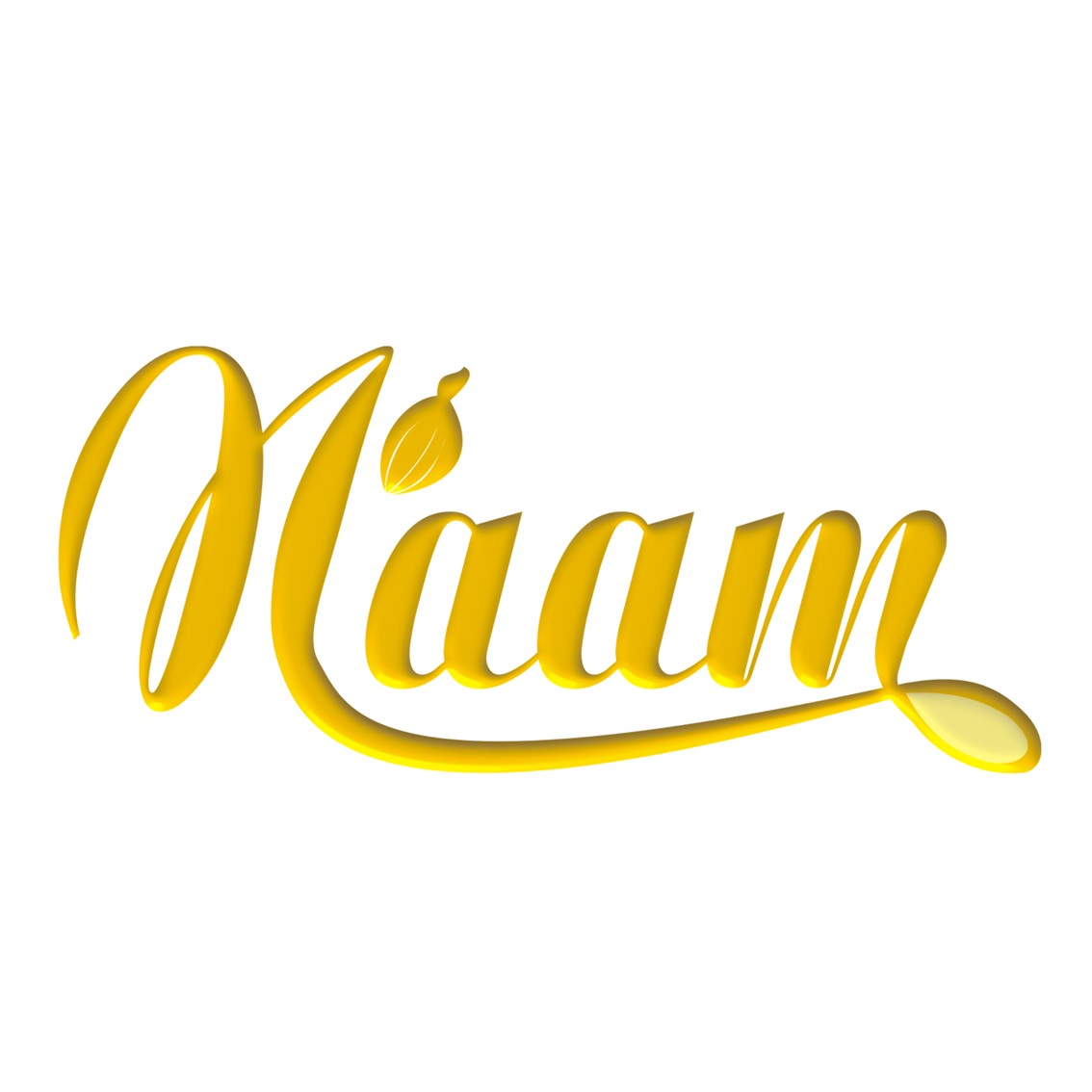 NAAMLogo.jpg.jpeg